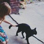 Pizza Pazza Pizzeria Italiana